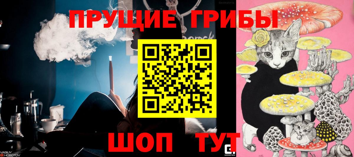Галлюциногенные грибы MAGIC MUSHROOMS  Псилоцибиновые грибы мицелий  Саранск  Вход с VPN 