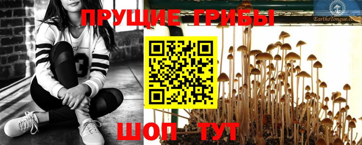 Галлюциногенные грибы мухоморы Саранск